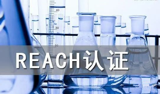 鼎华国际reach认证